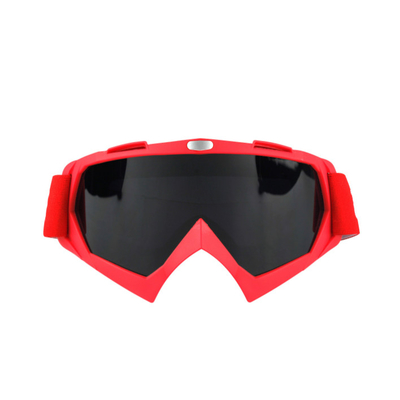 Anti - Fog Display Snow Ski Goggles Glass Snowboard Eyewear